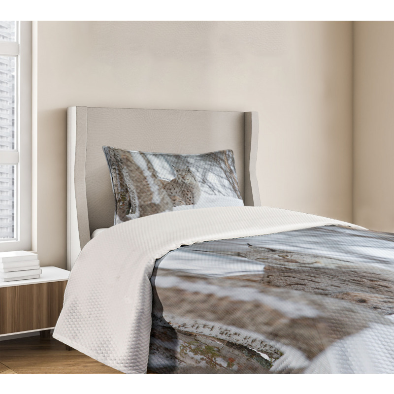 European Lynx Wilderness Bedspread Set