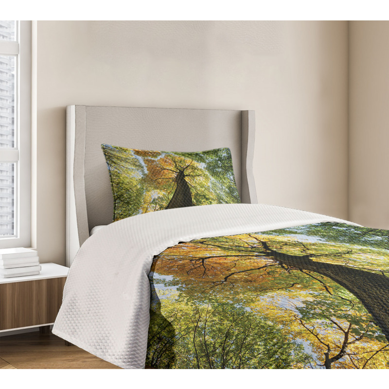 Forest Autumn Growth Eco Bedspread Set