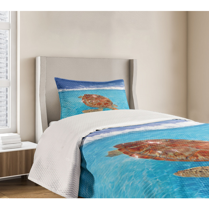 Chelonia Water Surface Bedspread Set