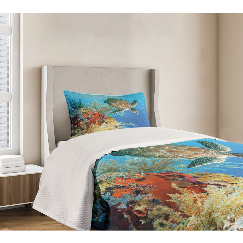 Exotic Turtle Coral Bedspread Set