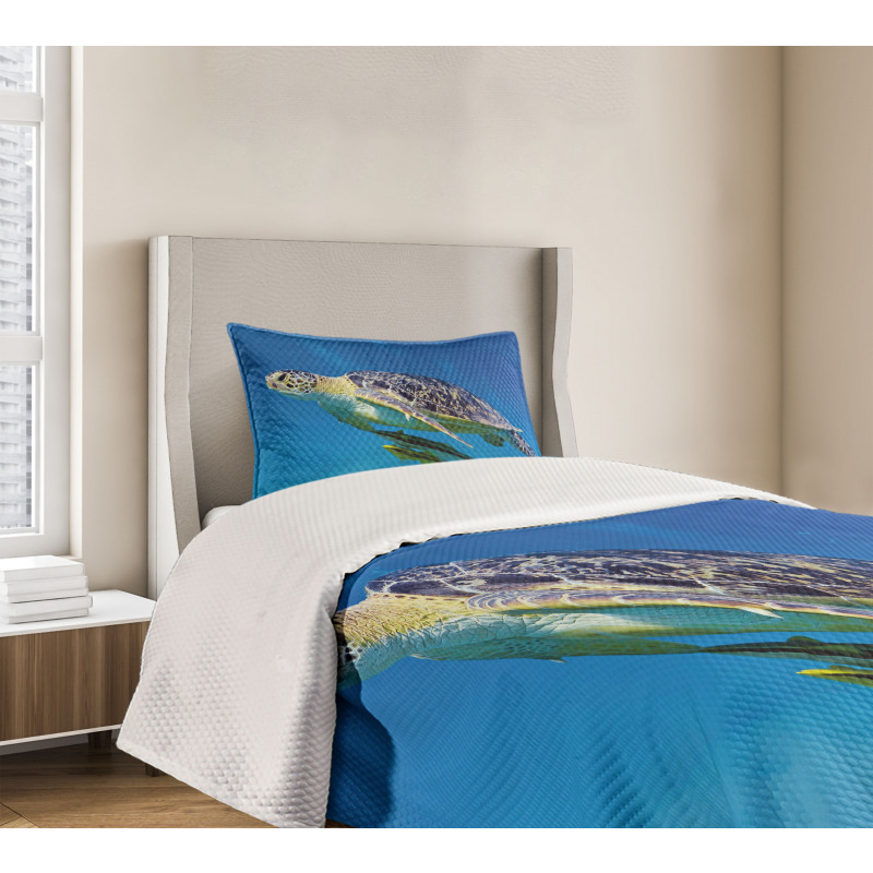 Fishes Swimming Ocean Bedspread Set