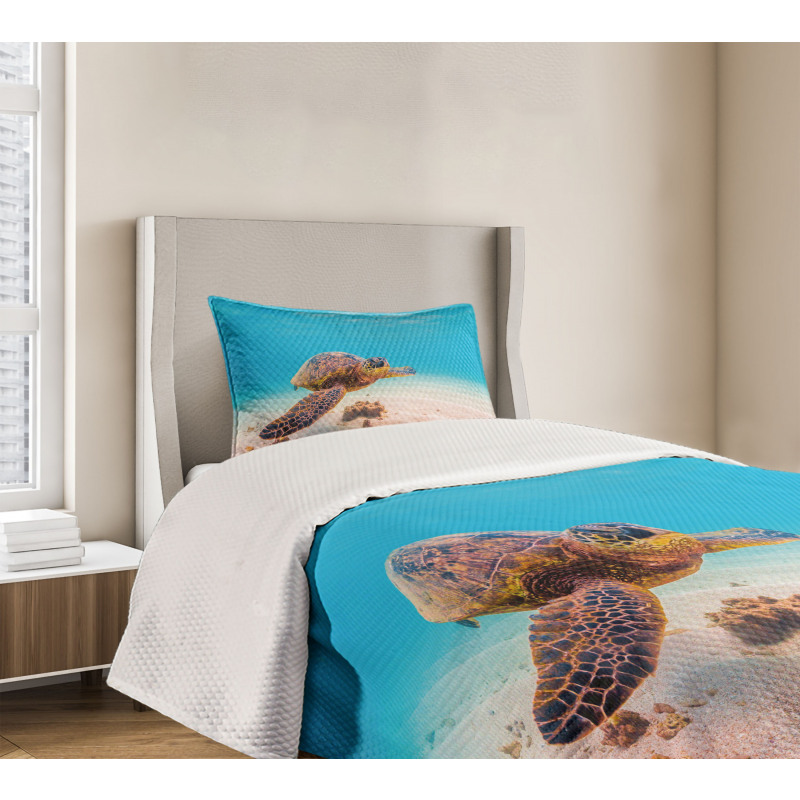 Sea Turtle Underwater Bedspread Set