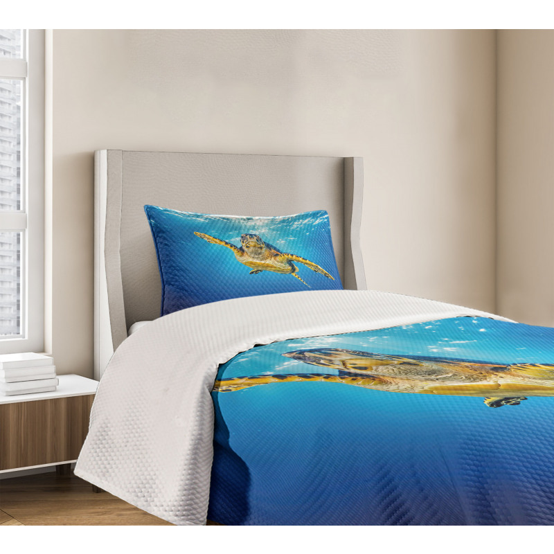 Blue Waters Swimming Bedspread Set