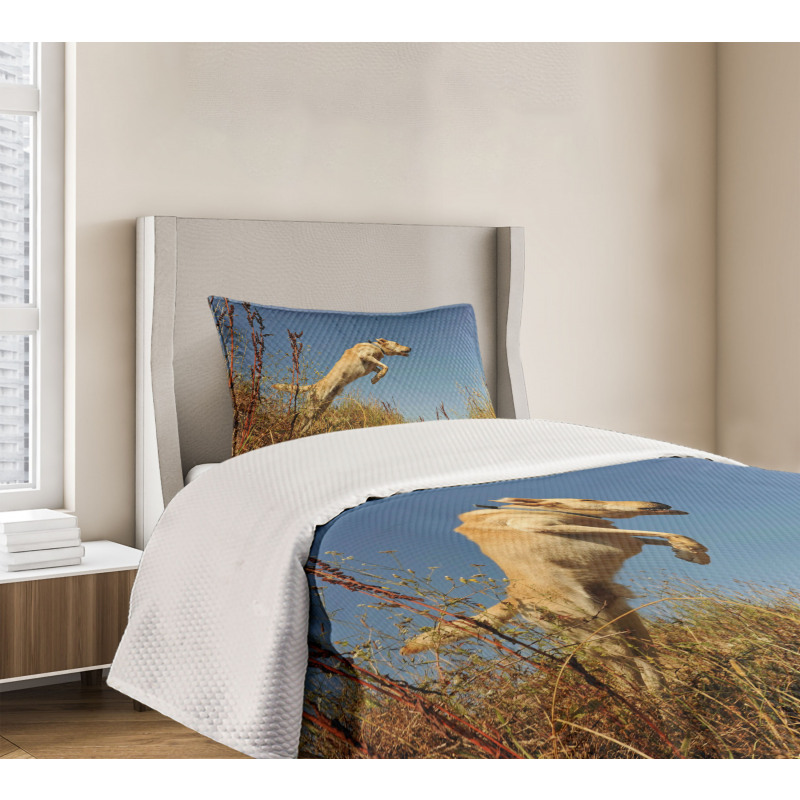 Purebred Labrador Bedspread Set