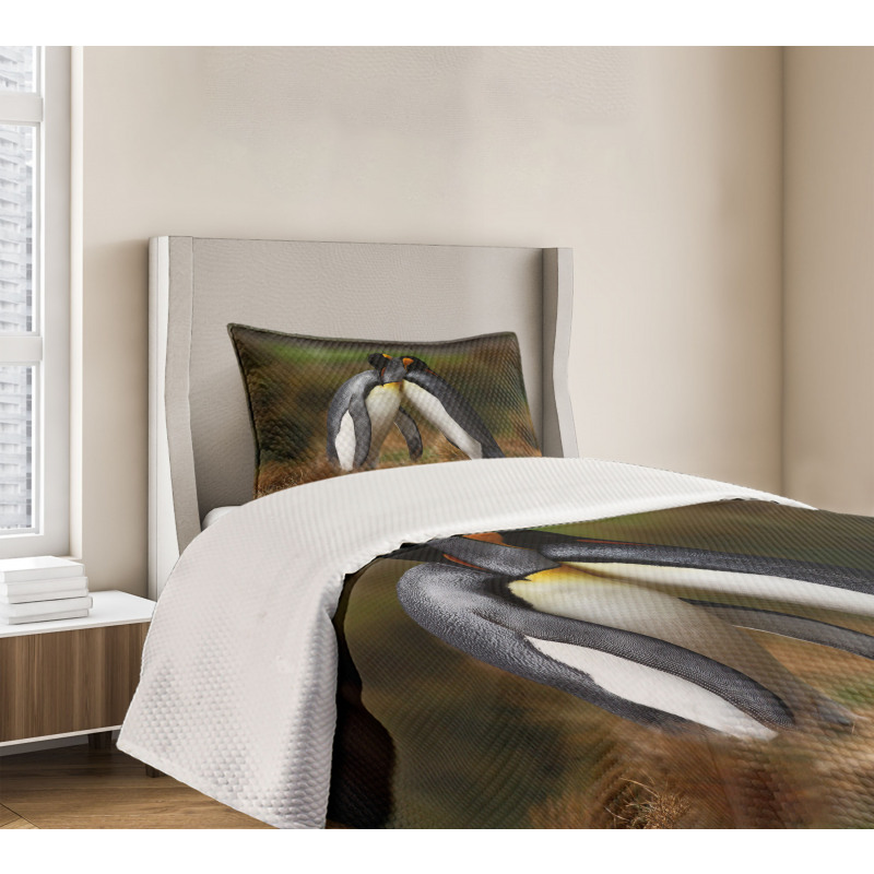 Penguin Couple Cuddling Bedspread Set