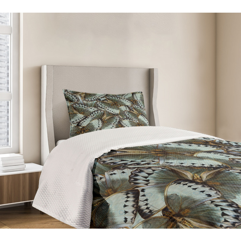 Butterflies Jungle Queen Bedspread Set