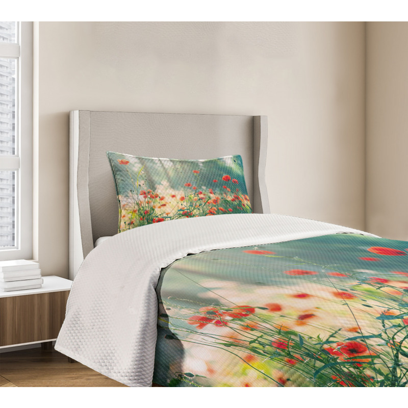 Wild Red Poppy Field Bedspread Set