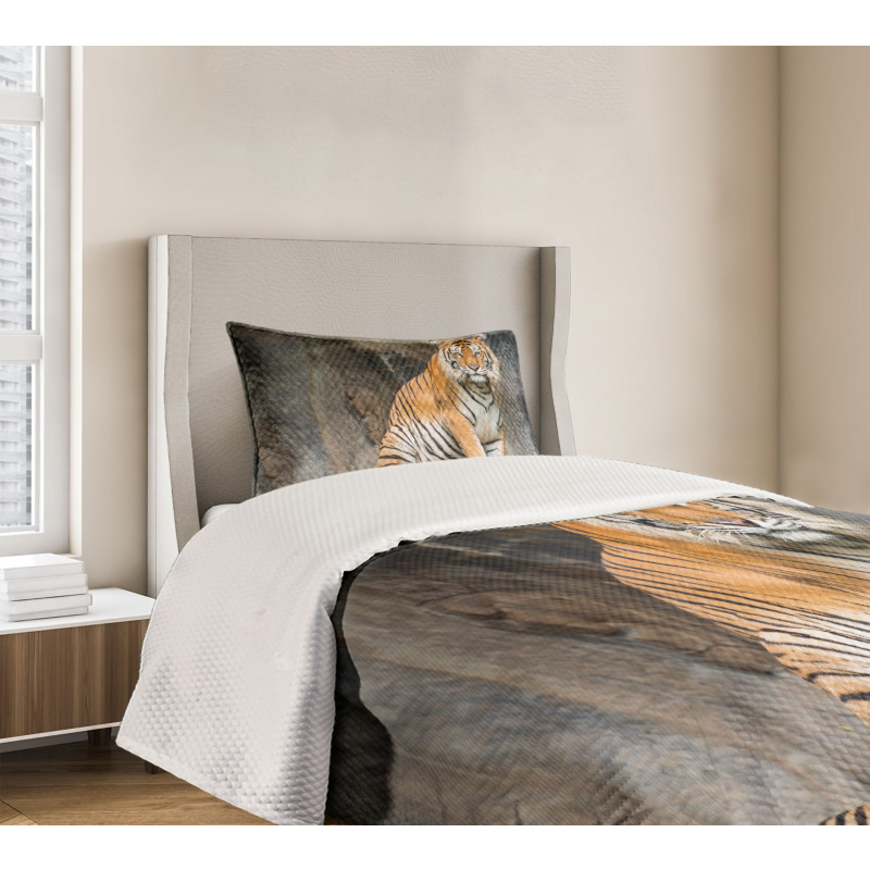 Bengal Tiger Cat Predator Bedspread Set