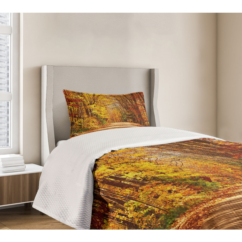 Scenic Outdoors Empty Road Bedspread Set