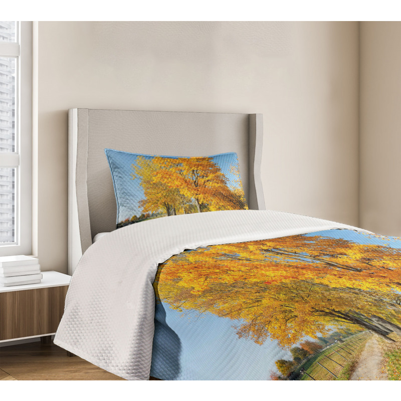 Maple Trees Countryside Bedspread Set