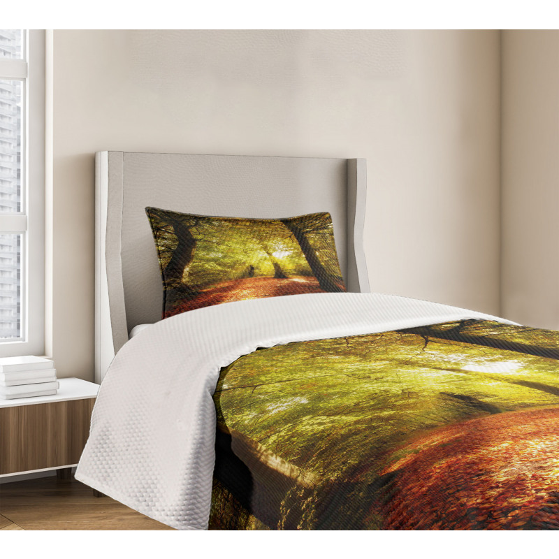 Blurry Forest Dreamy View Bedspread Set