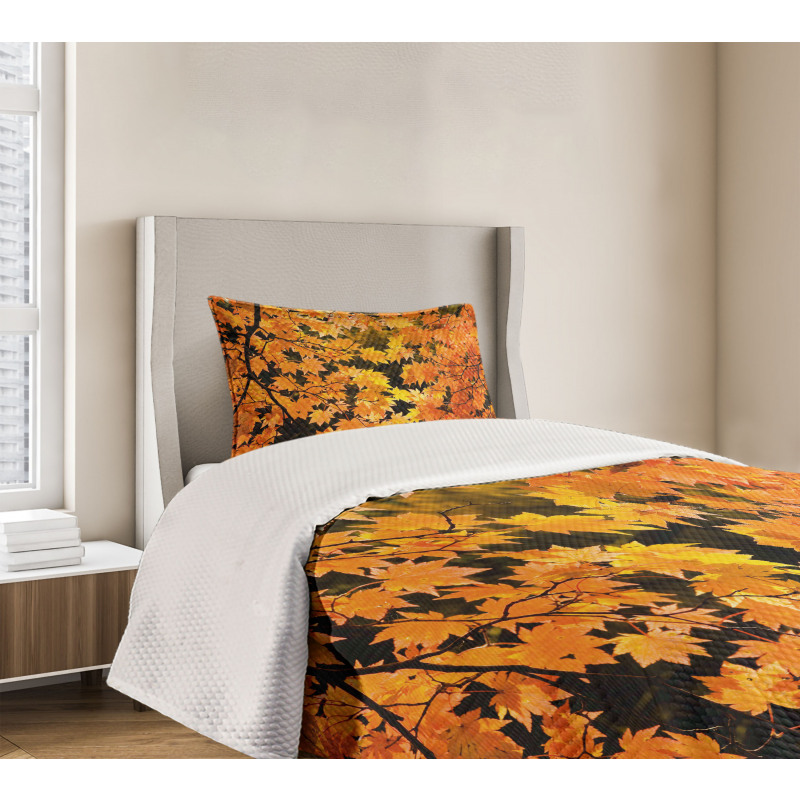 Vivid Autumn Maple Leaves Bedspread Set