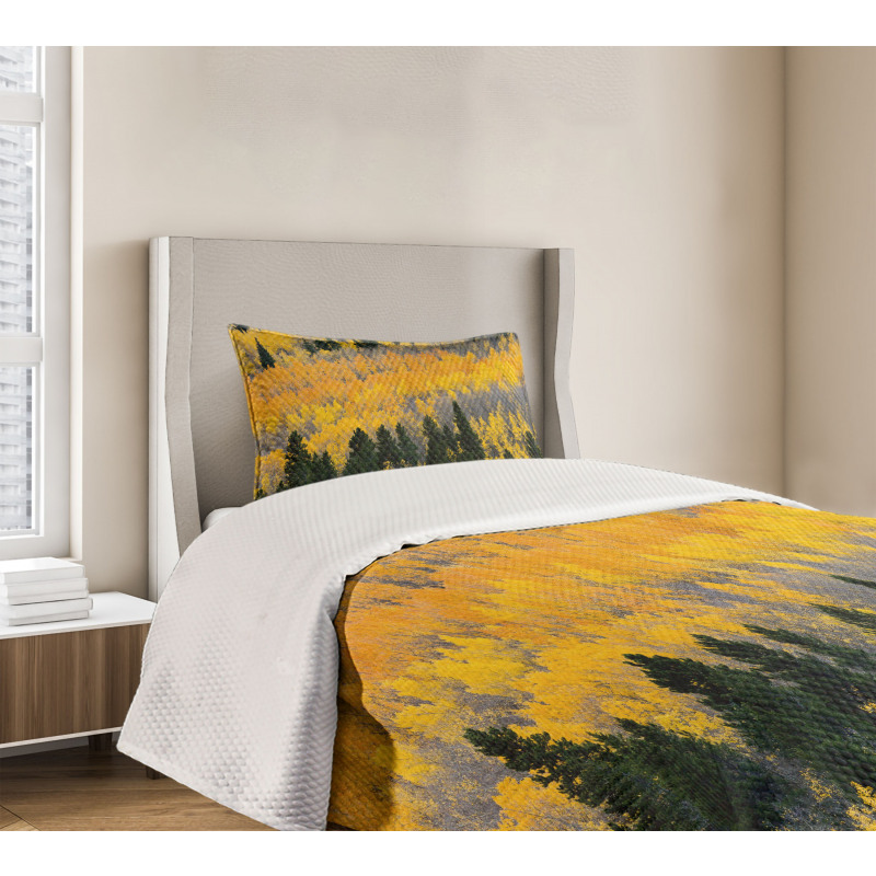 Colorful Aspen Trees USA Bedspread Set