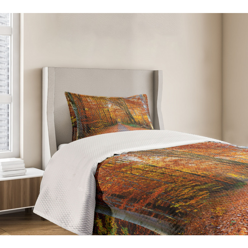 Vibrant Trees Pathway Bedspread Set