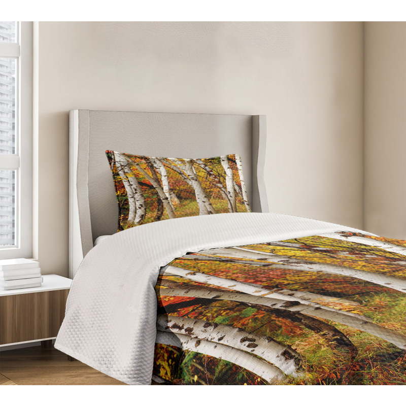 White Birch Trees Serenity Bedspread Set