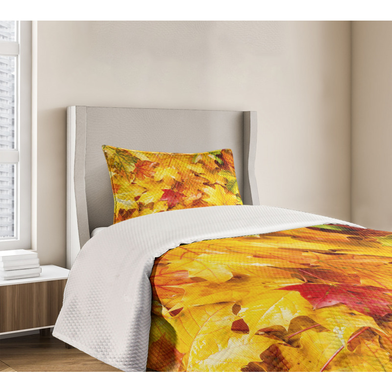 Wet Maple Leaves Nature Bedspread Set