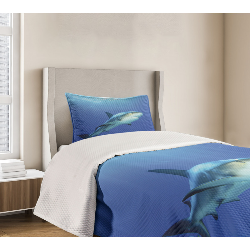 Exotic Dreamy Ocean Life Bedspread Set