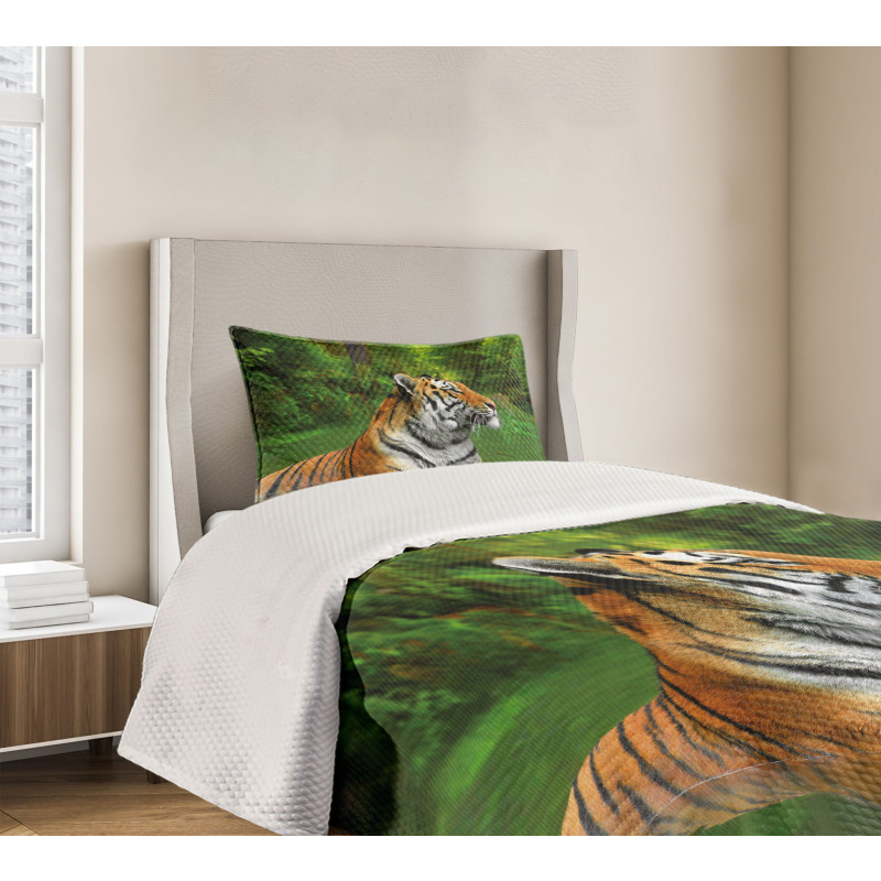 Siberian Wild Cat in Lake Bedspread Set