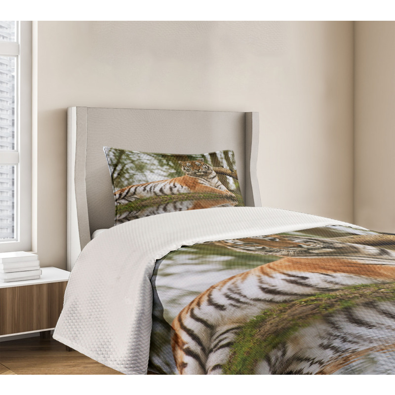 Siberian Mammal Warm Day Bedspread Set