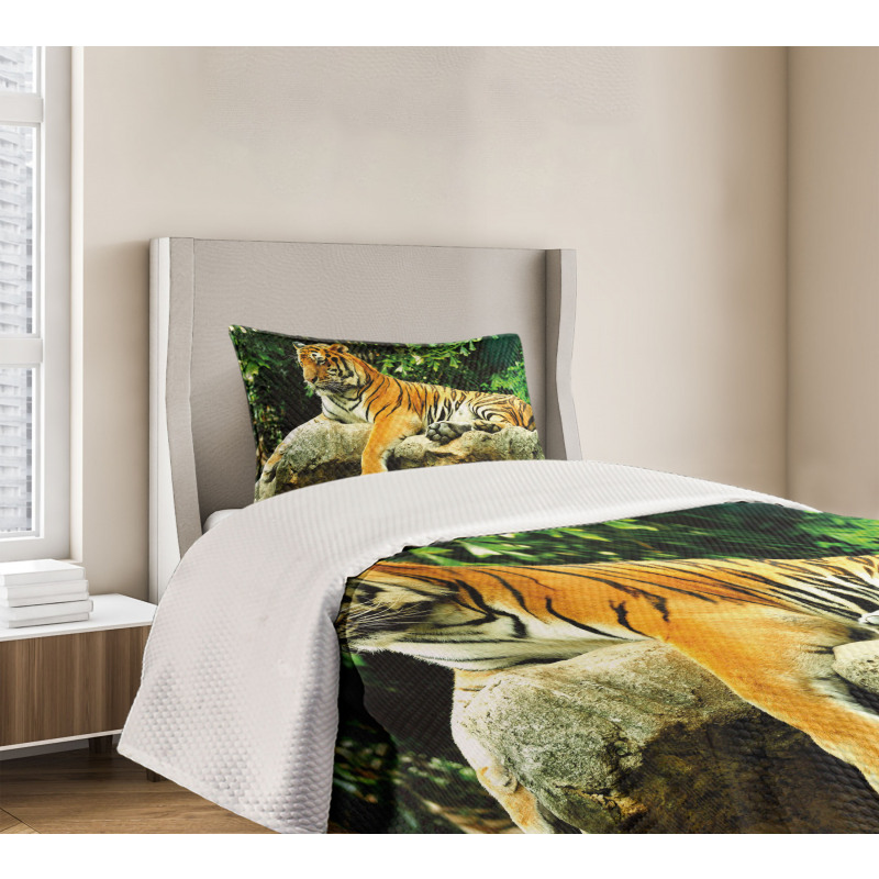 Big Cat Resting in Forest Bedspread Set