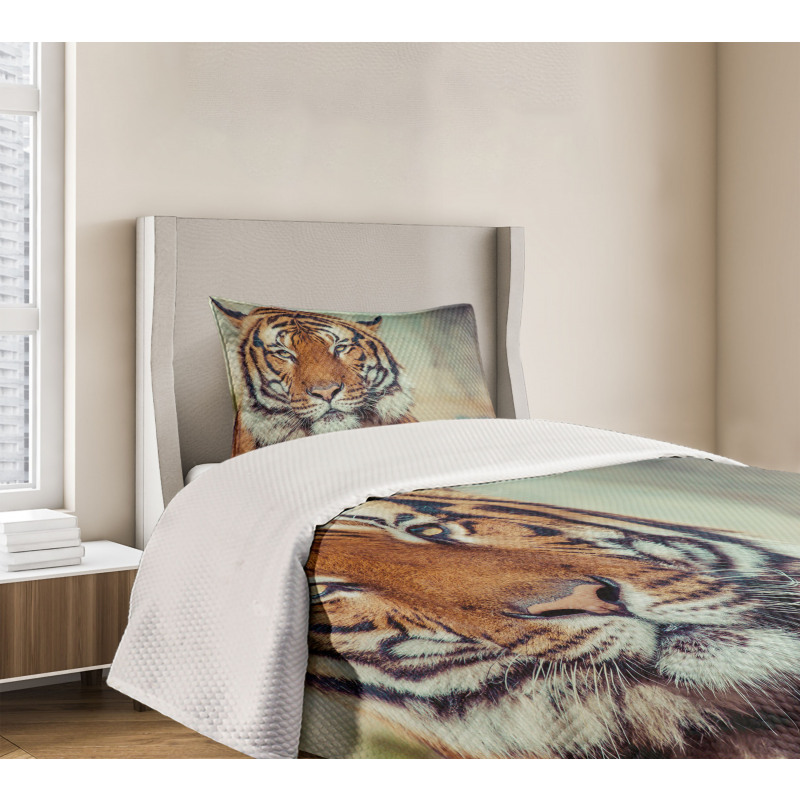 Large Calm Wild Cat Blur Bedspread Set