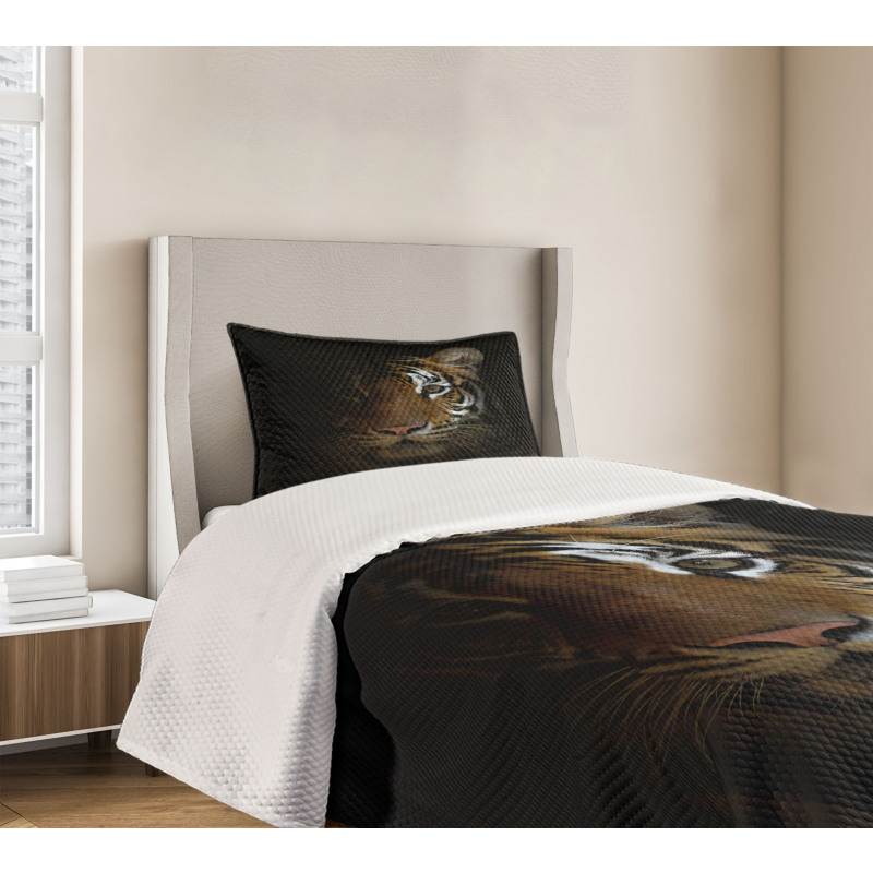 King of Sundarbans Bedspread Set