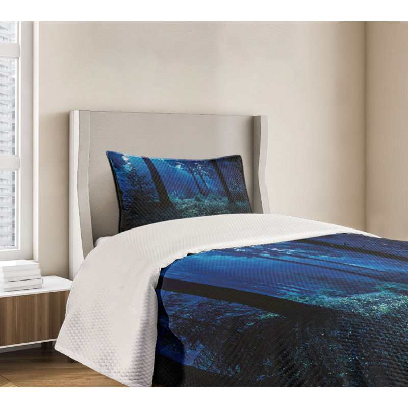 Misty Fall Nature Scenery Bedspread Set