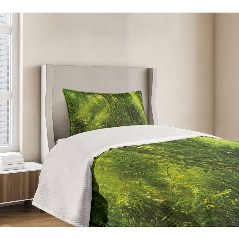 Tranquil Exotic Place Bedspread Set