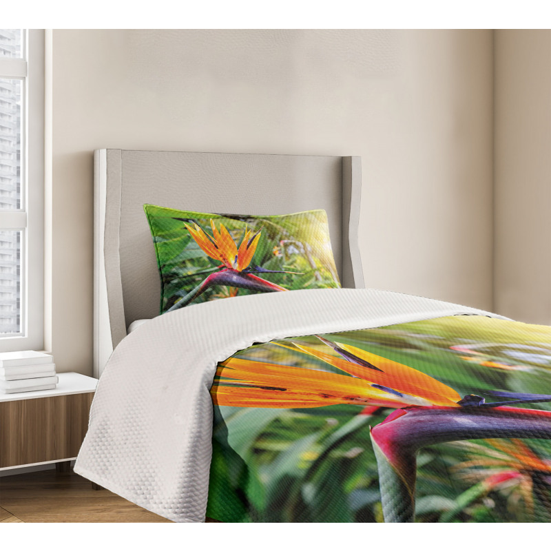 Bird of Paradise Flower Bedspread Set