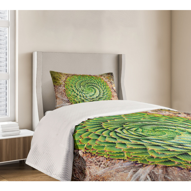 Aloe Polyphylla Vera Bedspread Set