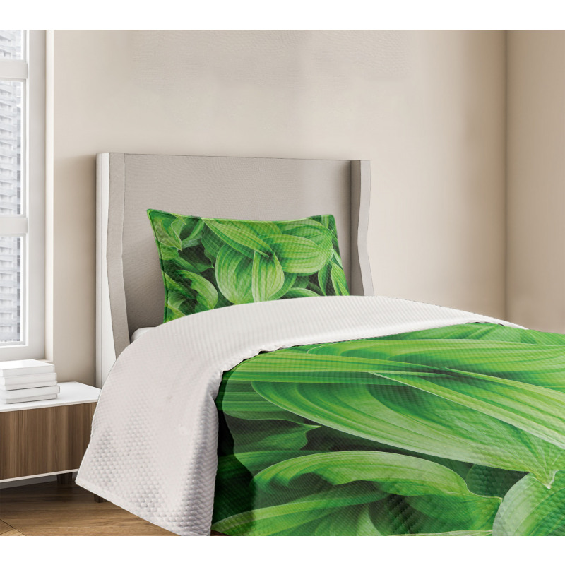 Tropic Foliage Pattern Bedspread Set