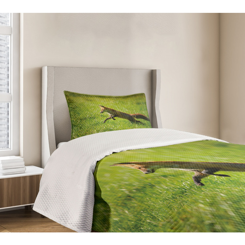 Jumping Animal Fresh Grass Bedspread Set