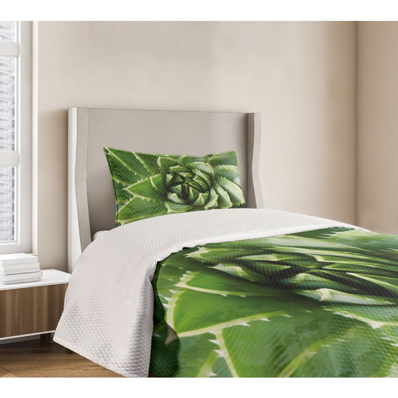 Green Leaf Exotic Mexico Bedspread Set