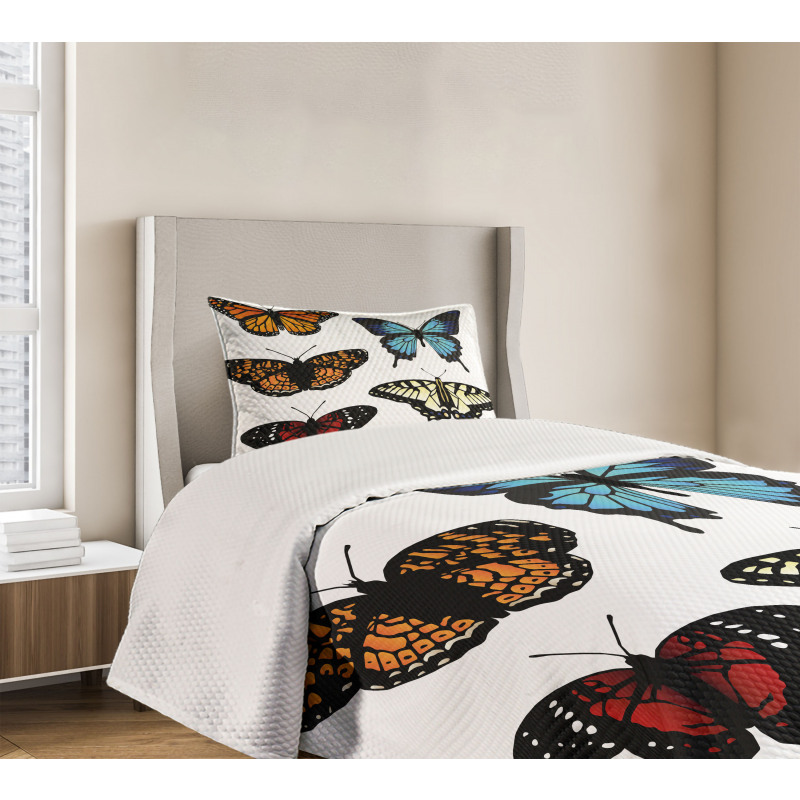 Monarch Lady Bedspread Set