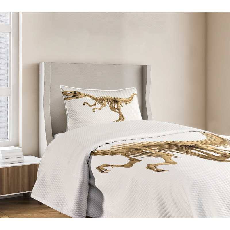 Fossil Dino Skeleton Bedspread Set