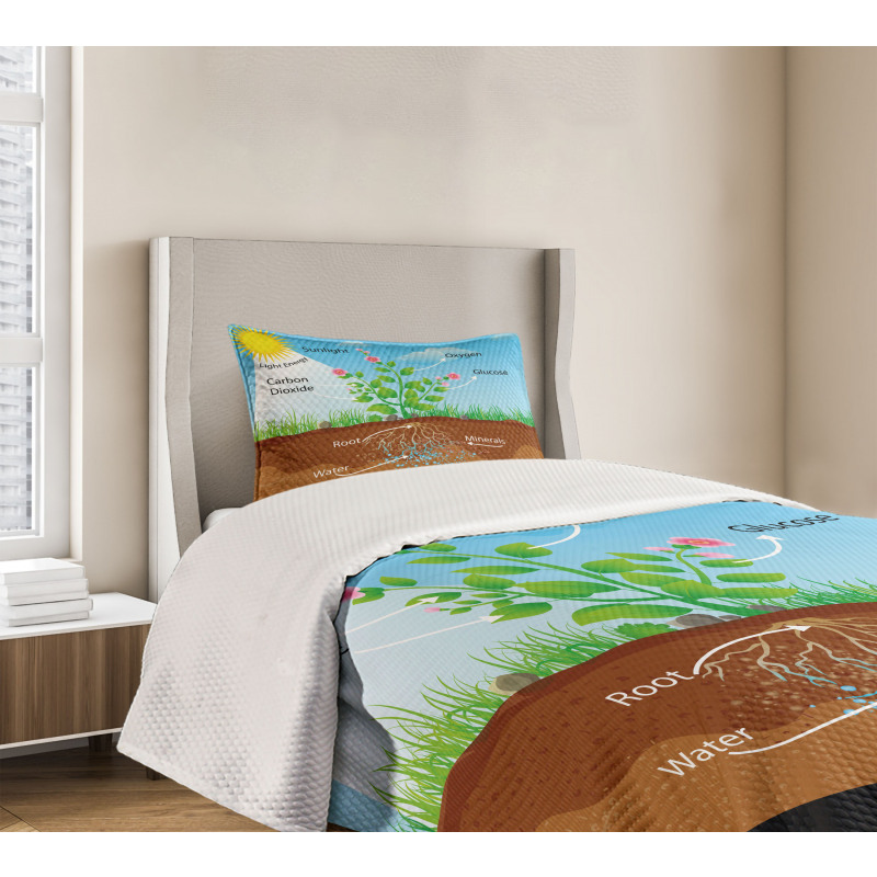 Plant Diagram Style Bedspread Set