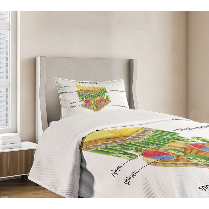 Leaf Names Theme Bedspread Set