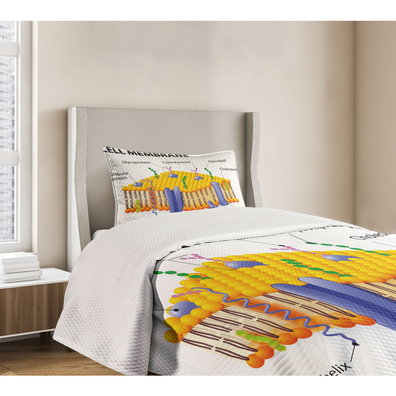 Membrane Cell Types Bedspread Set