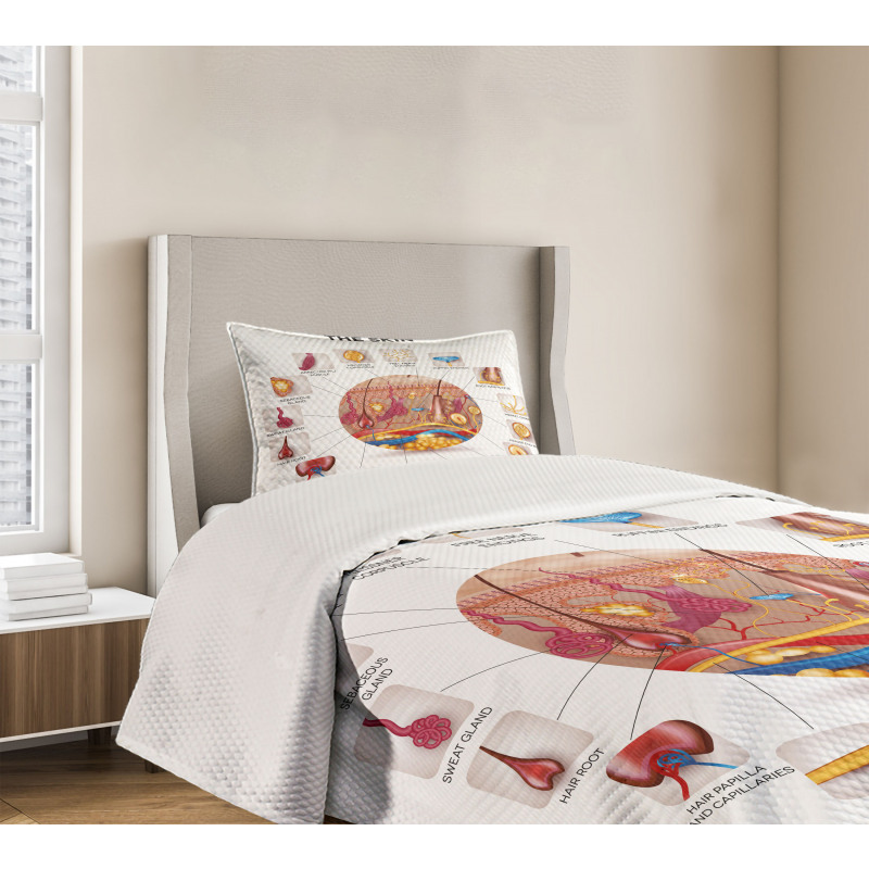 Skin Anatomy Veins Bedspread Set