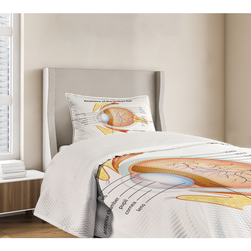 Eye Cornea Pupils Bedspread Set