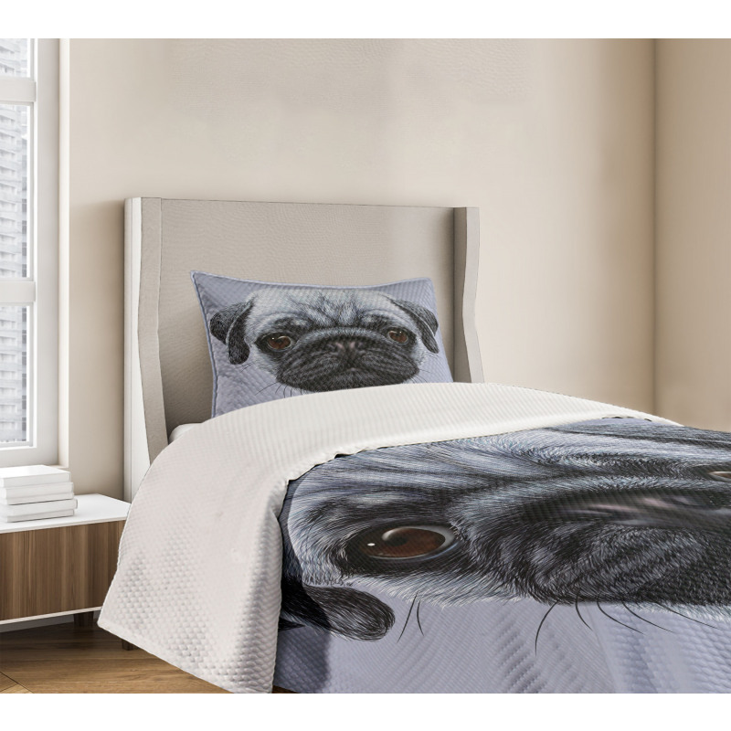 Young Puppy Giant Eyes Bedspread Set