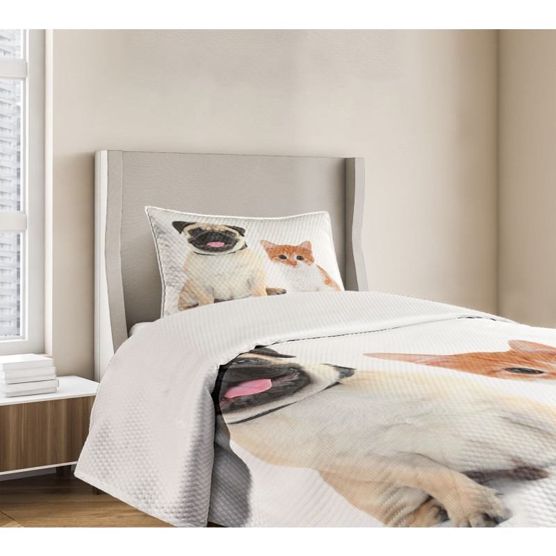 Kitten and Puppy Photo Bedspread Set