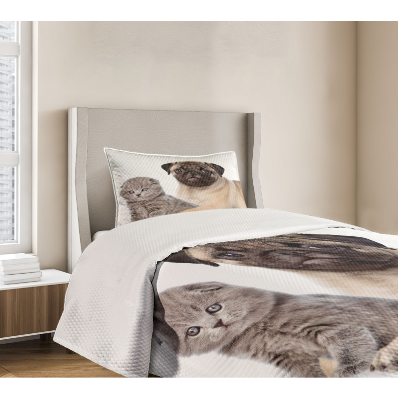 Young Puppy and Kitten Bedspread Set