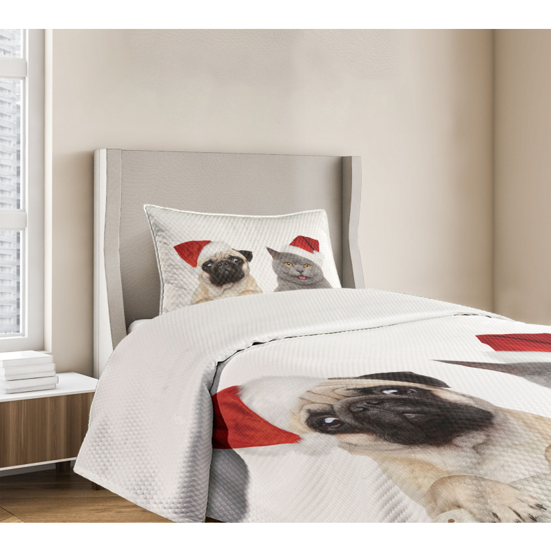 Christmas Themed Dog Photo Bedspread Set