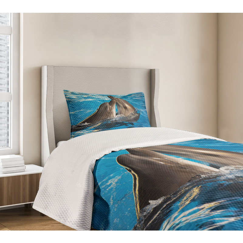 Aqua Show Photography Bedspread Set