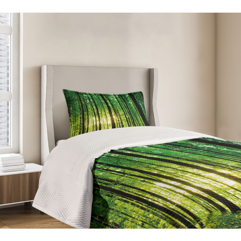 Green Woodland Sunrise Bedspread Set