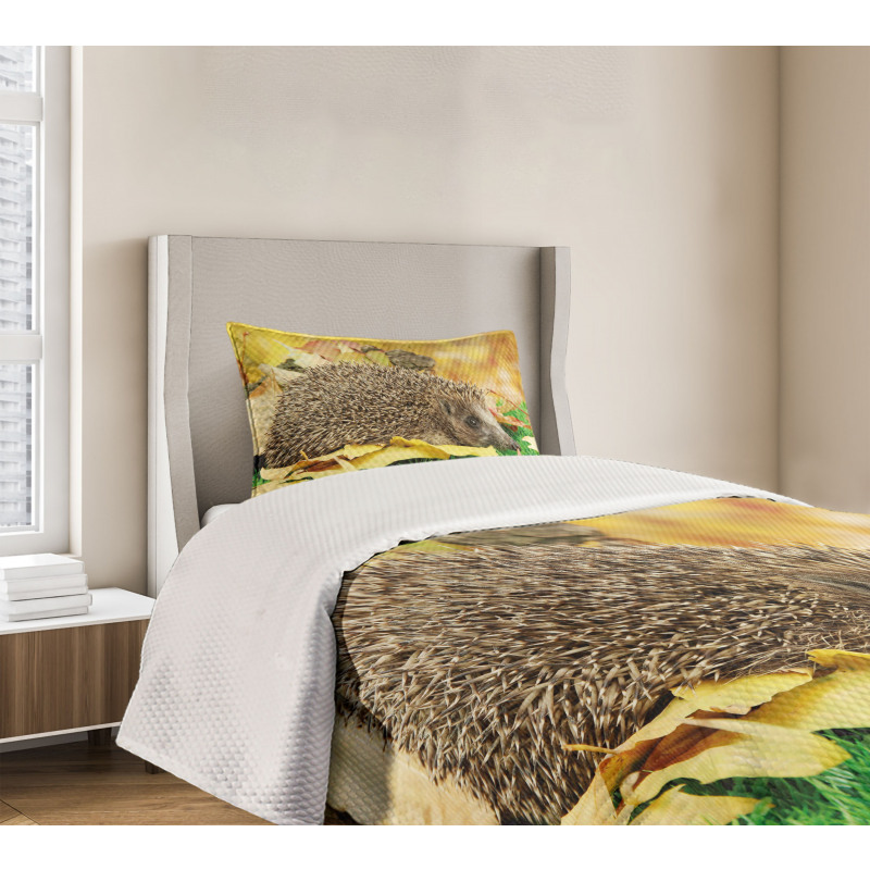 Little Hedgehog Bedspread Set