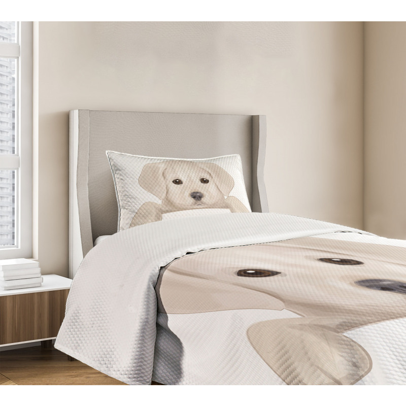Puppy Hiding Paws Bedspread Set
