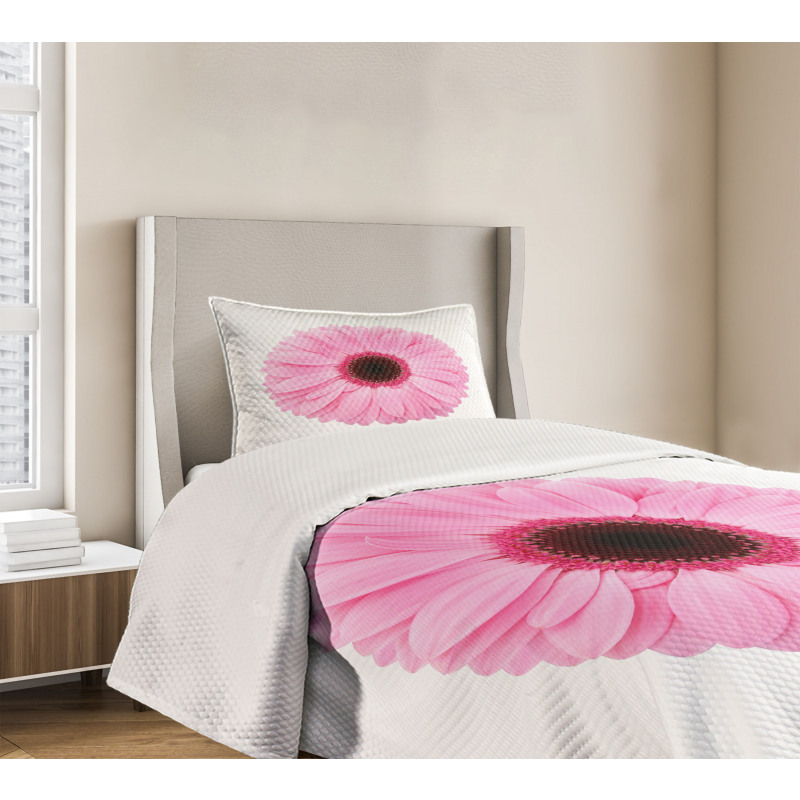 Gerber Daisy Bedspread Set