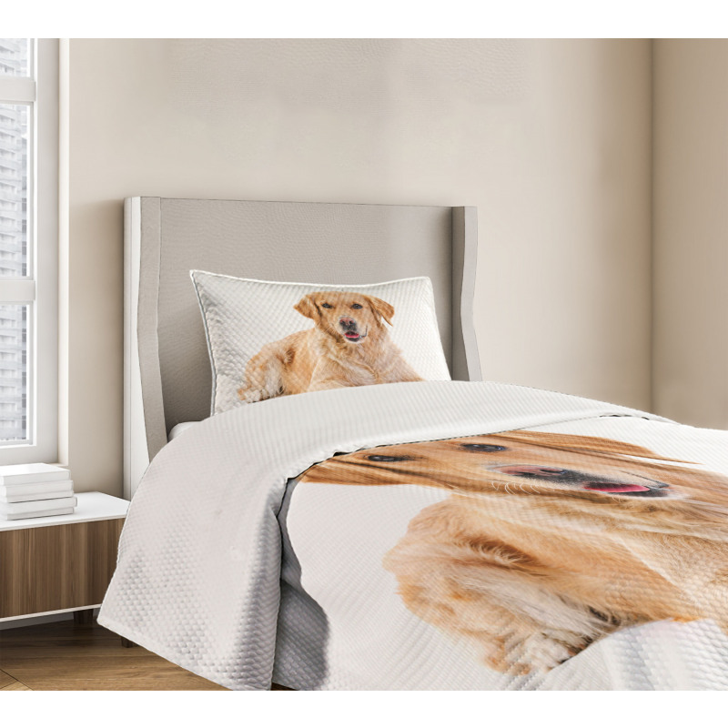 Young Puppy Bedspread Set